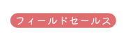 フィールドセールス